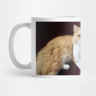 cute cat portrait Mug